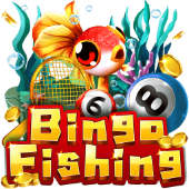 Câu Cá Bingo kuvin