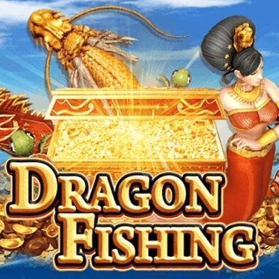 Câu Cá Rồng kuvin